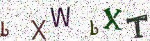 bXWbXT