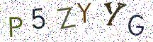 P5ZYYG