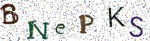 BNePKS