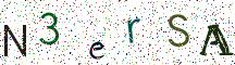 N3erSA