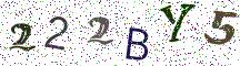 222BY5