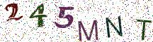 245MNT