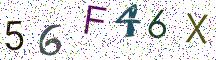 56F46X