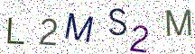 L2MS2M