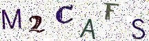 M2CAFS