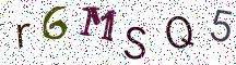 r6MSQ5