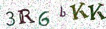 3R6bKK