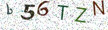 b56TZN