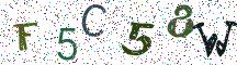 F5C58W