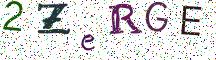 2ZeRGE