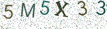 5M5X33