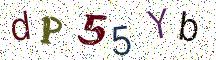 dP55Yb