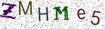 ZMHMe5