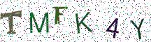 TMFK4Y