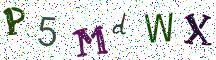 P5MdWX