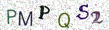 PMPQS2