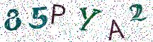 85PYA2