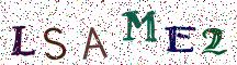 LSAME2