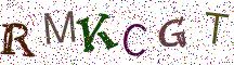 RMKCGT