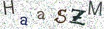 HaaSZM