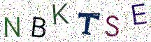 NBKTSE