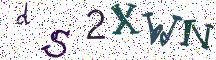 dS2XWN