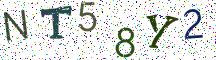 NT58Y2