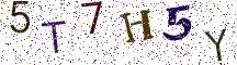 5T7H5Y