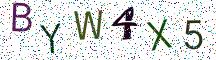 BYW4X5