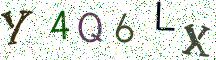 Y4Q6LX