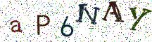 aP6NAY
