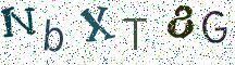 NbXT8G