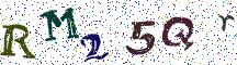 RM25Qr