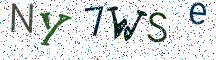NY7WSe