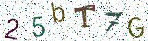 25bT7G