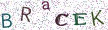 BRaCEK
