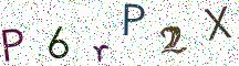 P6rP2X