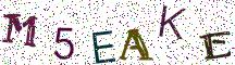 M5EAKE