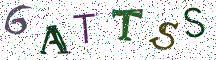 6ATTSS