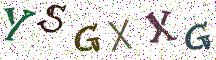 YSGXXG