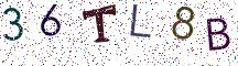 36TL8B