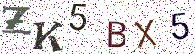 ZK5BX5