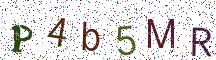 P4b5MR
