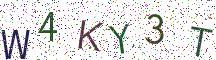 W4KY3T