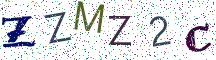 ZZMZ2C