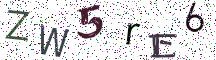 ZW5rE6