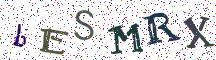bESMRX