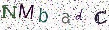 NMbadC