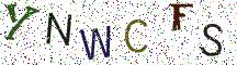 YNWCFS