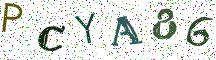 PCYA86
